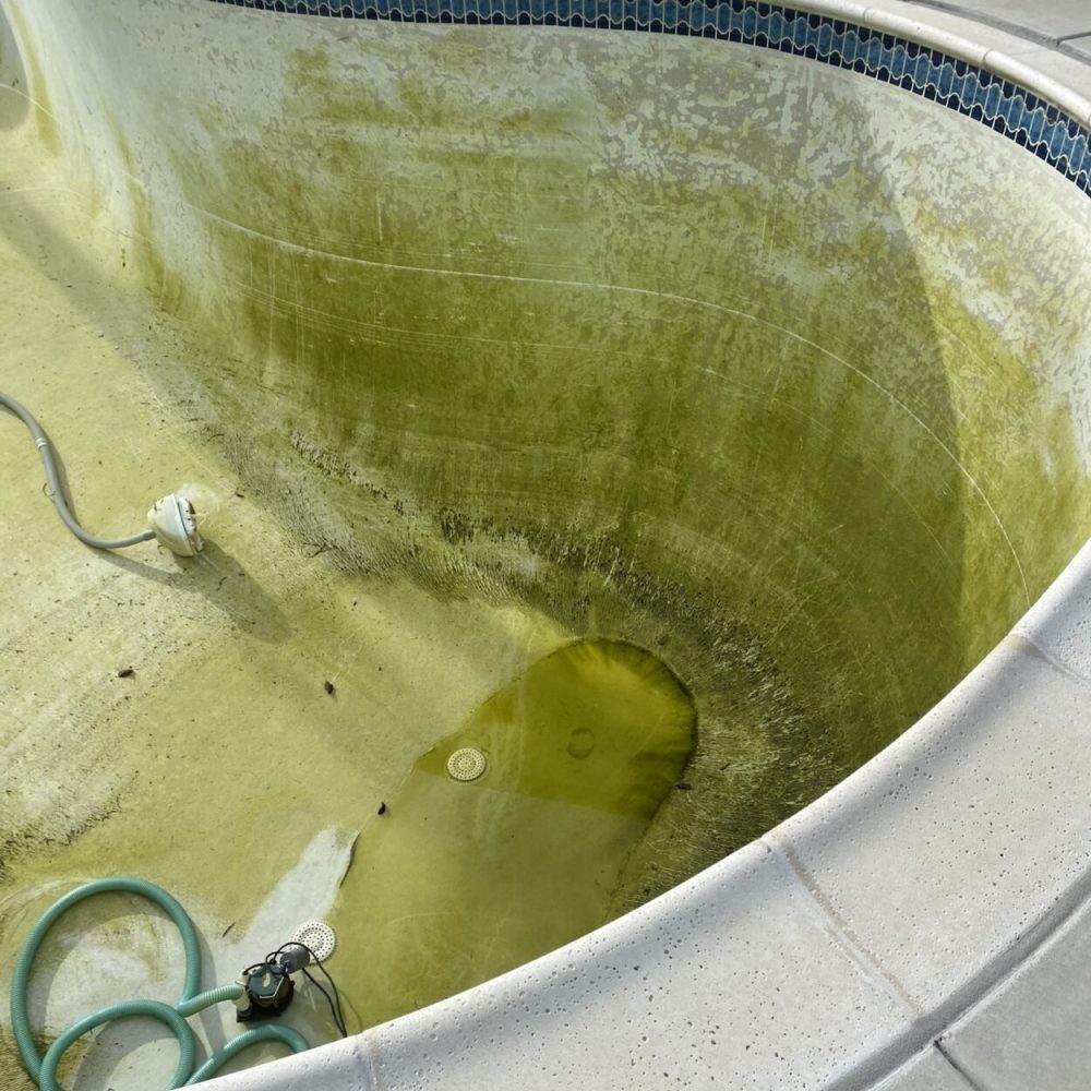 sunny-pool-services_repairs-cleaning_2